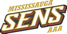 mississauga senators aaa coaches